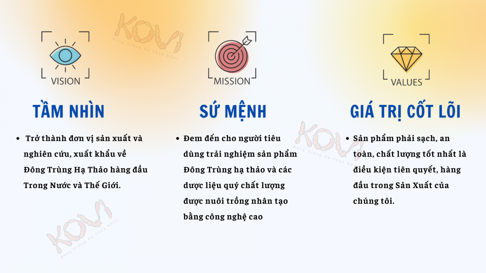 tầm nhìn, sức mệnh, giá trị cốt lõi KOVI