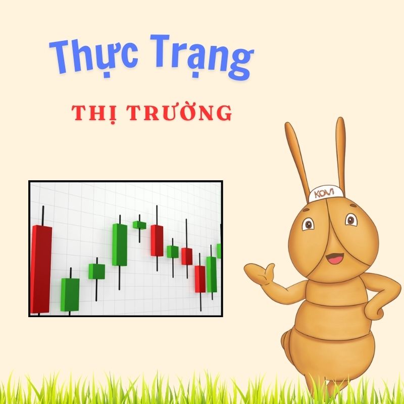  Thị Trường và Cầu Cung đông trùng hạ thảo