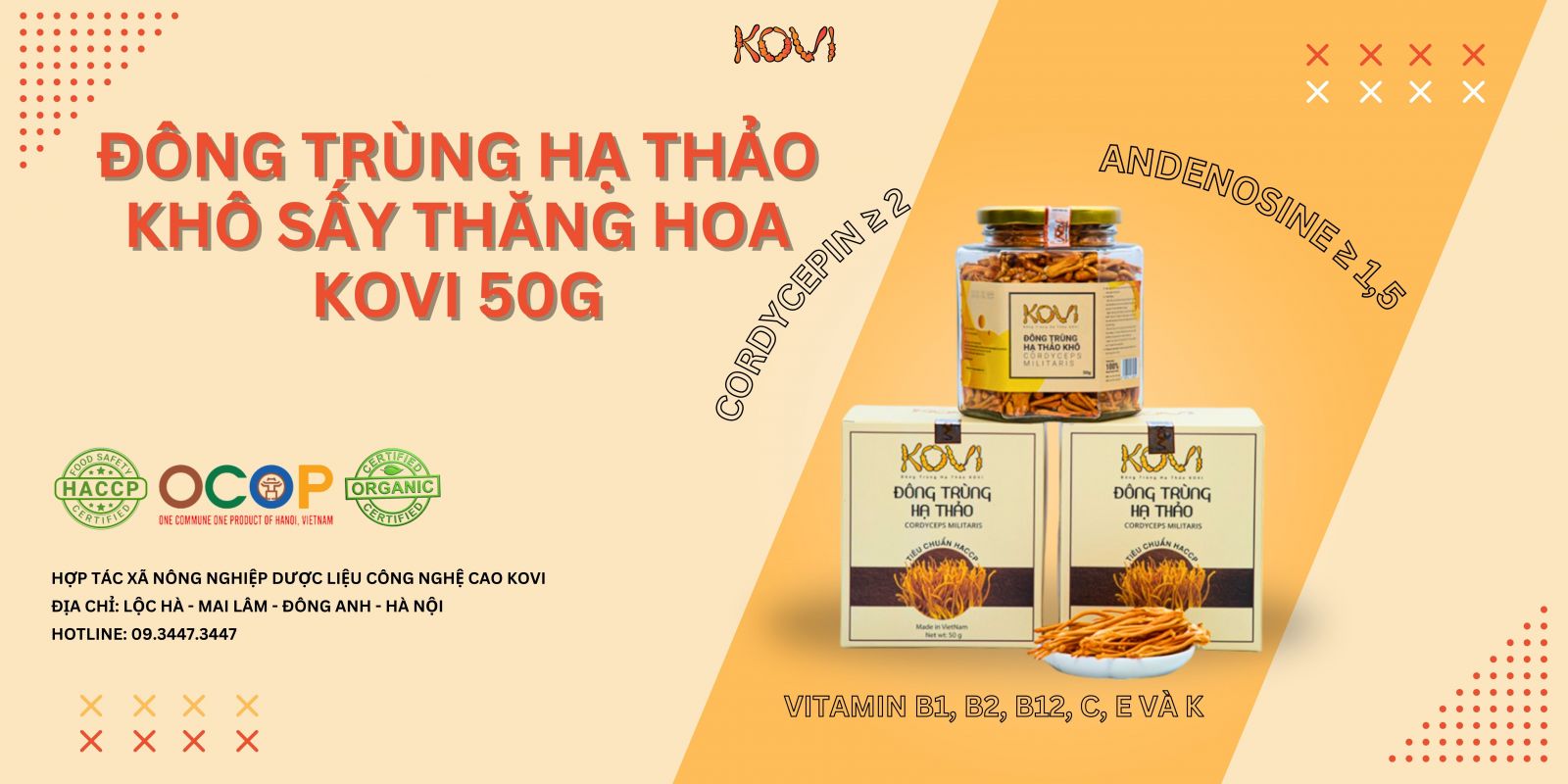 đông trùng hạ thảo khô sấy thăng hoa 