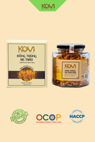 Đông trùng hạ thảo khô sấy thăng hoa KOVI 25g Loại 1