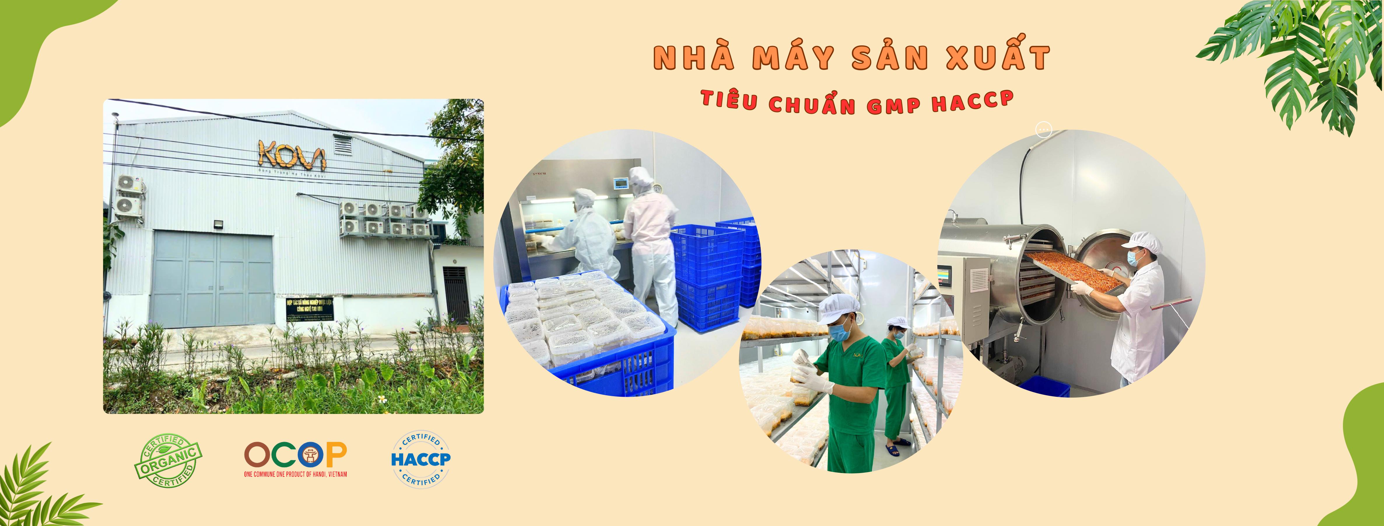 Nhà máy tiêu chuẩn GMP HACCP