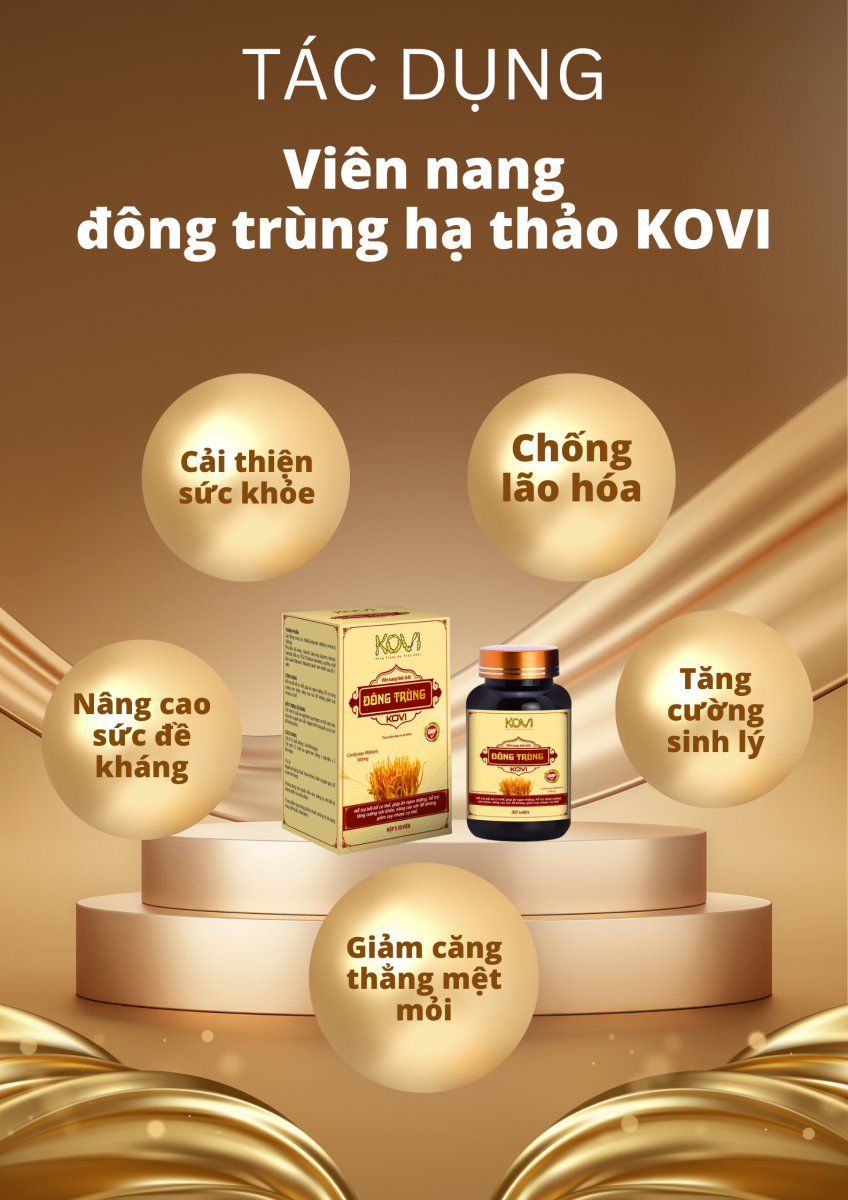 Tác dụng viên nang đông trùng hạ thảo