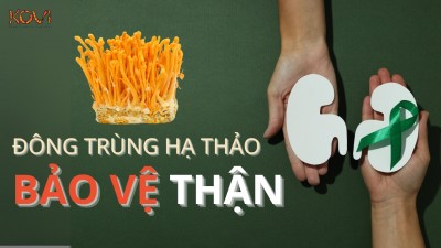 ĐÔNG TRÙNG HẠ THẢO BẢO VỆ THẬN