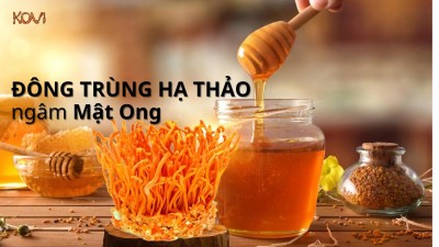 Đông trùng hạ thảo ngâm mật ong có tốt không ? Cách ngâm thật chuẩn