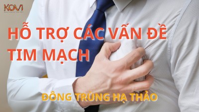 ĐÔNG TRÙNG HẠ THẢO HỖ TRỢ ĐIỀU TRỊ CÁC VẤN ĐỀ VỀ TIM MẠCH