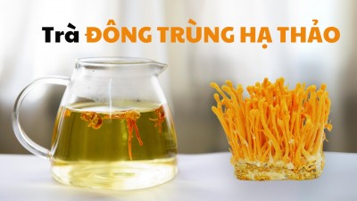 Trà đông trùng hạ thảo là gì ? Công dụng của trà đông trùng hạ thảo