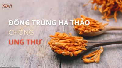 ĐÔNG TRÙNG HẠ THẢO CHỐNG UNG THƯ