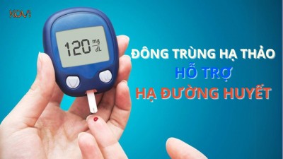 ĐÔNG TRÙNG HẠ THẢO HỖ TRỢ HẠ ĐƯỜNG HUYẾT Ở BỆNH NHÂN TIỂU ĐƯỜNG