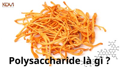 Polysaccharide là gì ?