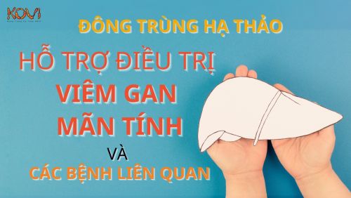 ĐÔNG TRÙNG HẠ THẢO HỖ TRỢ ĐIỀU TRỊ VIÊM GAN MÃN TÍNH VÀ CÁC BỆNH LIÊN QUAN