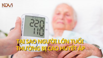 Tại sao người lớn tuổi thường bị cao huyết áp ?