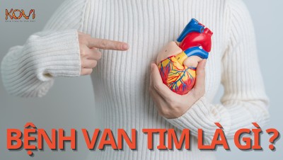 BỆNH VAN TIM LÀ GÌ ?