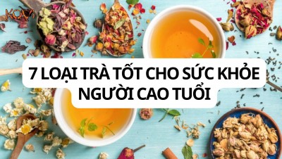 Top 7 loại trà tốt cho sức khỏe người cao tuổi