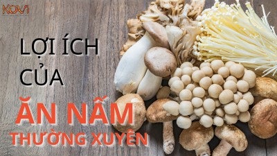 8 LỢI ÍCH CỦA VIỆC ĂN NẤM THƯỜNG XUYÊN