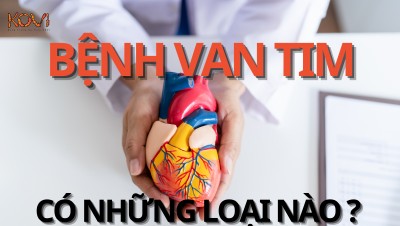 BỆNH VAN TIM CÓ NHỮNG LOẠI NÀO ?